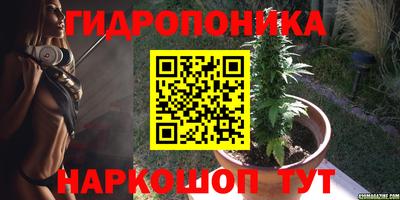 скорость Тара