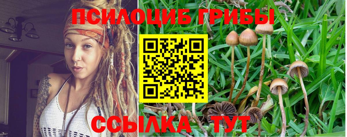 Галлюциногенные грибы Cubensis  Галлюциногенные грибы ЛСД  Вход с VPN  Тихвин 